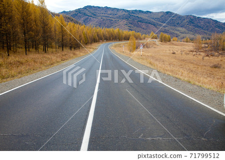Altai autumn. Chui road 71799512