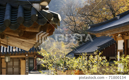 白楊寺寺院 71800134