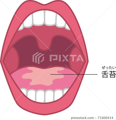 Tongue coating illustration 71800414