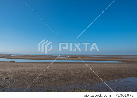 Tidal Coast Flats Tidal Coast Flats 71801075