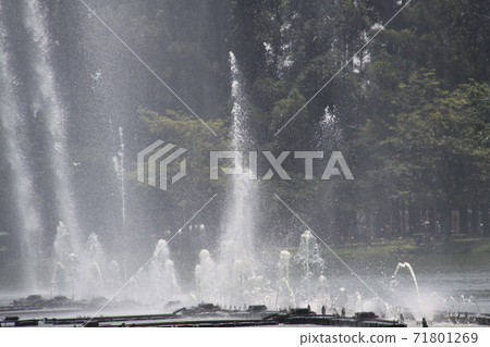 巴西聖保羅伊比拉普埃拉公園的噴泉 71801269