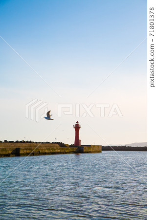 Shiranuka lighthouse and the sea 71801378