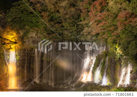 Shiraito Falls照亮2020 71801661