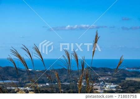 Kawatana Onsen in Autumn and the Sea of Japan in the Blue Sky [Yamaguchi Prefecture] 71803758