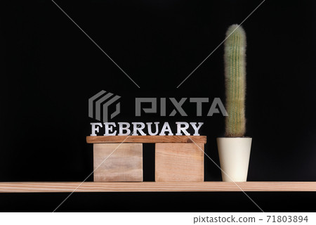 Wooden calendar of February and cactus on black background. Copy space, mockup 71803894