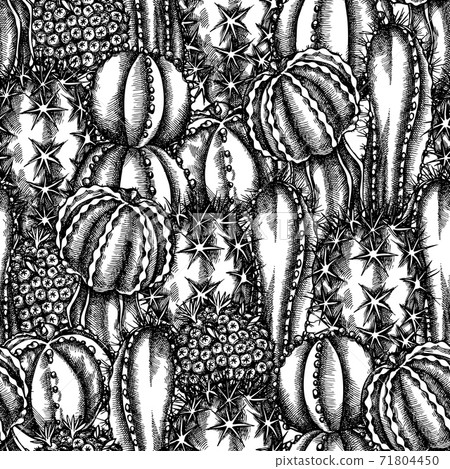 Seamless pattern with black and white cactus - Stock Illustration ...
