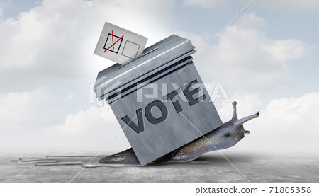 Slow Election 71805358