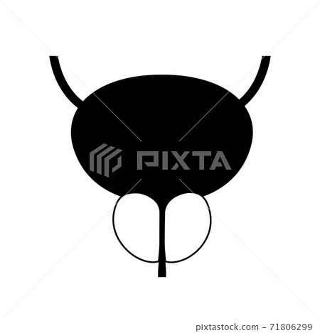 BPH info concept BPH info concept 71806299