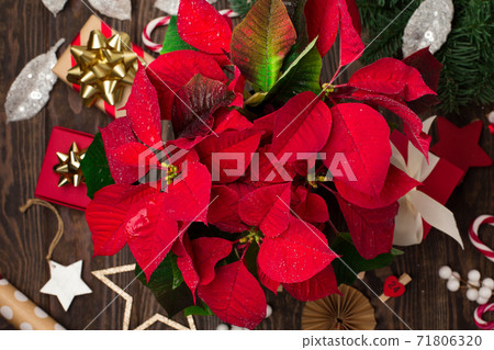 Holiday card - red flower poinsettia and craft Christmas decorations on dark wooden background. Holiday card - red flower poinsettia and craft Christmas decorations on dark wooden background. 71806320