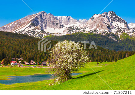 Zabljak town and Durmitor massif, Montenegro 71807211