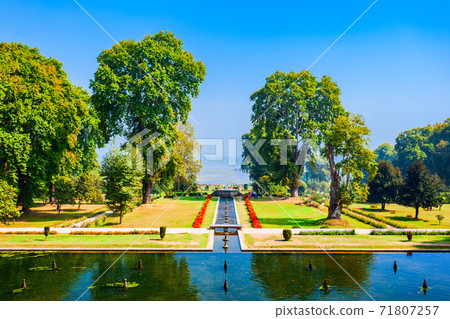 Garden in Srinagar city, India 71807257