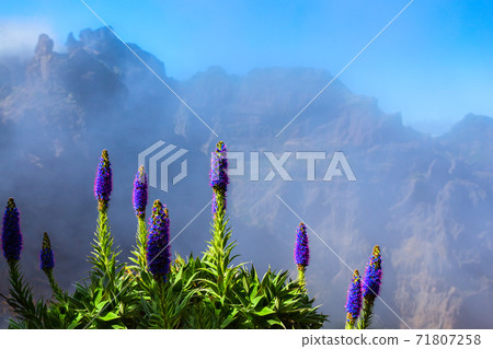 Pico Arieiro to Pico Ruivo landscape 71807258