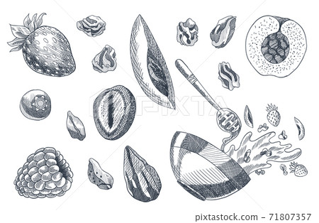 Granola coloring engraved style illustration. Various berries, fruits and nuts. Homemade delicious set. Ingredients for making granola. Healthy breakfast. Hand drawn vector illustration Granola coloring engraved style illustration. Various berries, fruits and nuts. Homemade delicious set. Ingredients for making granola. Healthy breakfast. Hand drawn vector illustration 71807357