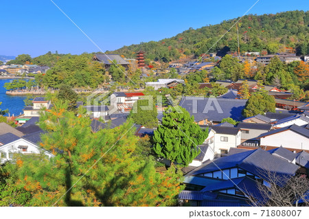 [Hiroshima Prefecture] View of Miyajima under fine weather (Itsukushima Shrine) 71808007