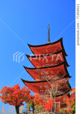 [Hiroshima Prefecture] Miyajima (Itsukushima Shrine) Five-storied Pagoda under fine weather 71808021