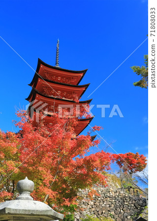 [廣島縣]天氣晴朗的宮島五島塔 71808033