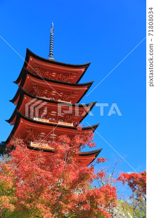[廣島縣]天氣晴朗的宮島五島塔 71808034