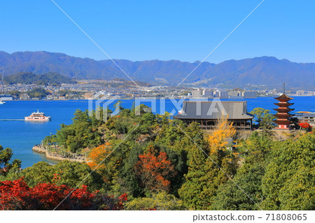 [Hiroshima Prefecture] View of Miyajima under fine weather (Itsukushima Shrine) 71808065