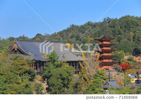 [Hiroshima Prefecture] View of Miyajima under fine weather (Itsukushima Shrine) 71808066