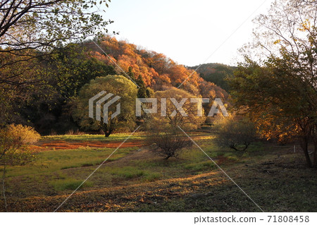 秋葉原原Fureai廣場 71808458