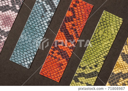 Different samples of exotic reptiles genuine leather, colorful shades, production and sale of fashion accessories Different samples of exotic reptiles genuine leather, colorful shades, production and sale of fashion accessories 71808987