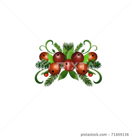 Christmas Holly brunches decoration vector Christmas Holly brunches decoration vector 71809136