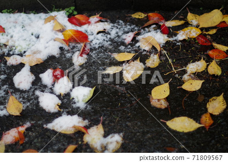 Change of the season Change of the season 71809567
