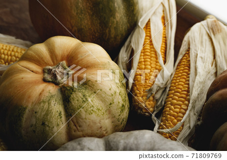 Toned autumn background of pumpkins and corn 71809769