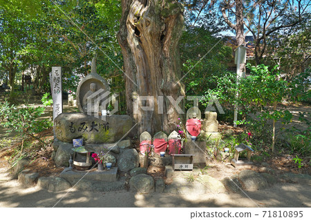 [Iouzan Yojuin Joruriji Temple] (Shikoku Sacred Site No. 46 Fudasho) Joruricho, Matsuyama City, Ehime Prefecture 71810895
