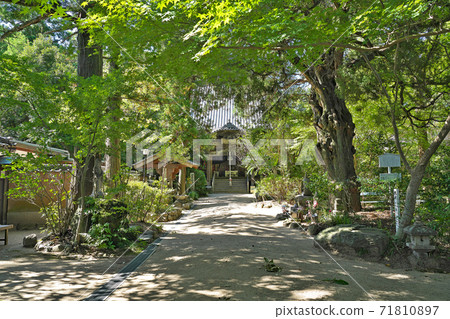 [Iouzan Yojuin Joruriji Temple] (Shikoku Sacred Site No. 46 Fudasho) Joruricho, Matsuyama City, Ehime Prefecture 71810897