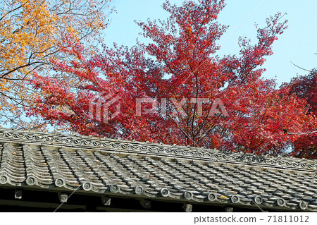 Higashiyama Zoo and Botanical Garden 71811012