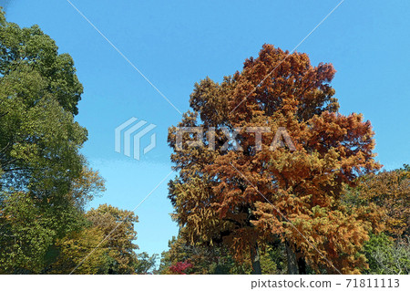 Higashiyama Zoo and Botanical Garden 71811113