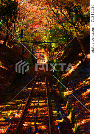 Autumn leaves, autumn, mountains, Eizan seen from the Eizan Ropeway in Sakyo-ku, Kyoto [November] 71811156