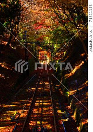 從京都市左京區榮山空中纜車看到的秋葉景觀，秋天，山，榮山[11月] 71811158