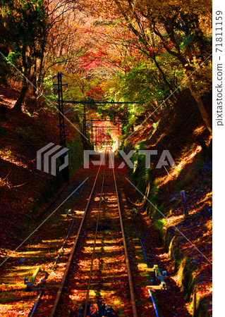Autumn leaves, autumn, mountains, Eizan seen from the Eizan Ropeway in Sakyo-ku, Kyoto [November] 71811159