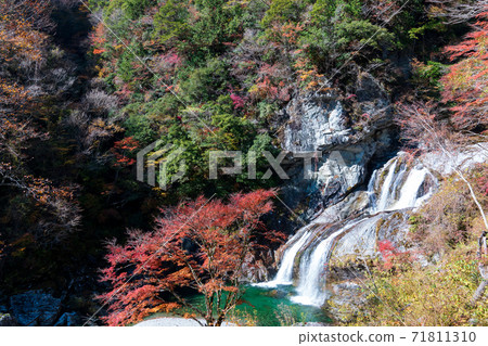 瀨戶川谷，谷之美，秋葉（高知縣） 71811310