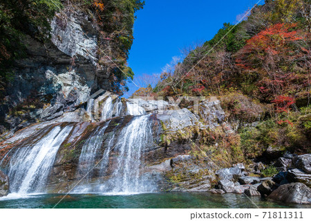 瀨戶川谷Amegaeri瀑布秋天（高知縣） 71811311