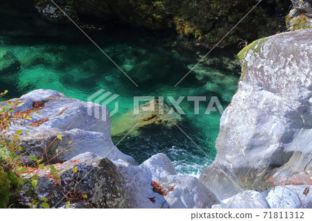 瀨戶川谷翡翠綠河秋天（高知縣） 71811312