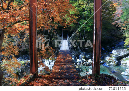 瀨戶川谷Burabura橋深秋（高知縣） 71811313