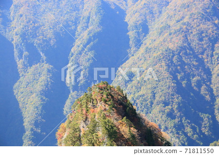 從大蛇gra看 71811550