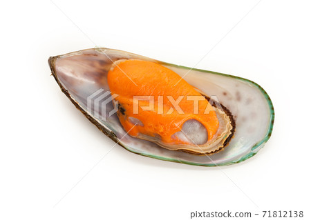 Mussel Mussel 71812138