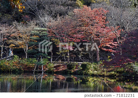 東山動物園和植物園 插圖素材 圖庫