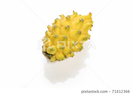 Yellow Kirin Fruit 71812366