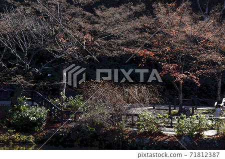 東山動物園和植物園 東山動物園和植物園 71812387