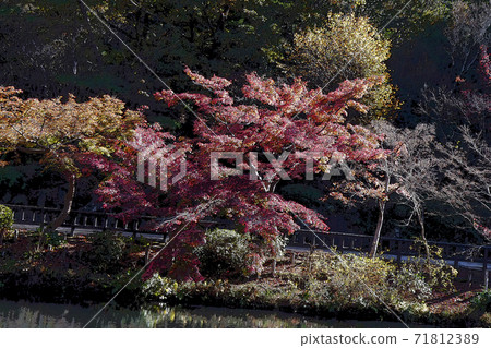 東山動物園和植物園 東山動物園和植物園 71812389