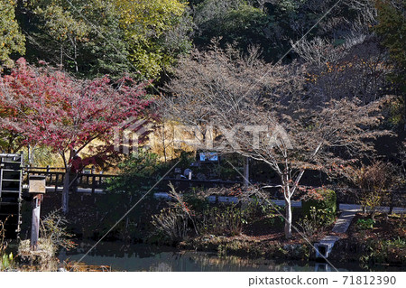 東山動物園和植物園 東山動物園和植物園 71812390