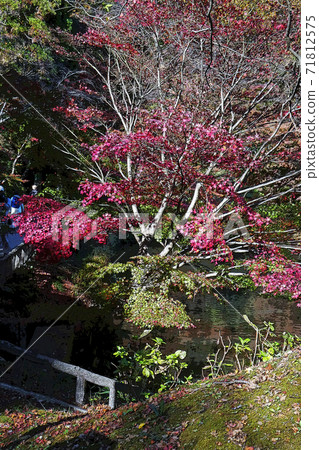 Higashiyama Zoo and Botanical Garden Higashiyama Zoo and Botanical Garden 71812575