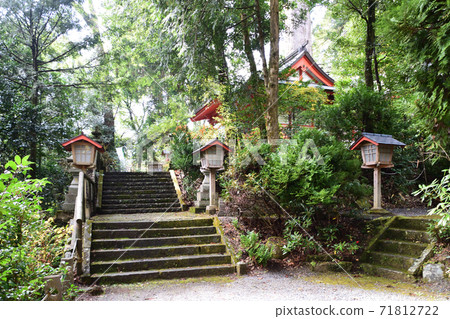 音川神社的矢村杉 音川神社的矢村杉 71812722