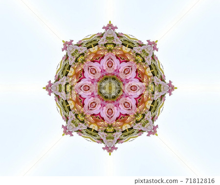 Abstract floral design with pink yellow and red roses on a field of white Abstract floral design with pink yellow and red roses on a field of white 71812816