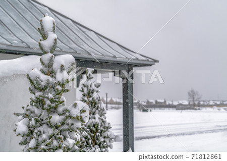 Snowy tree and pavilion in Daybreak Utah viewed on a cold winter day Snowy tree and pavilion in Daybreak Utah viewed on a cold winter day 71812861